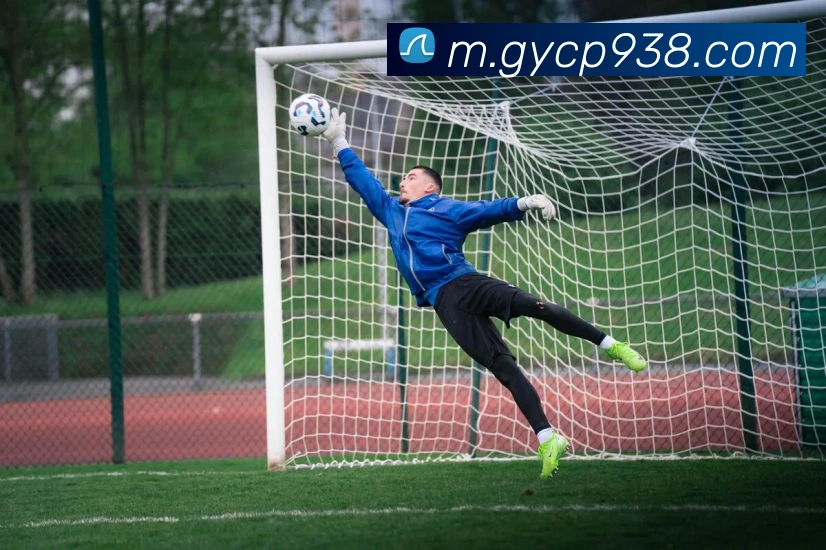 500彩票官网首页平台生态图